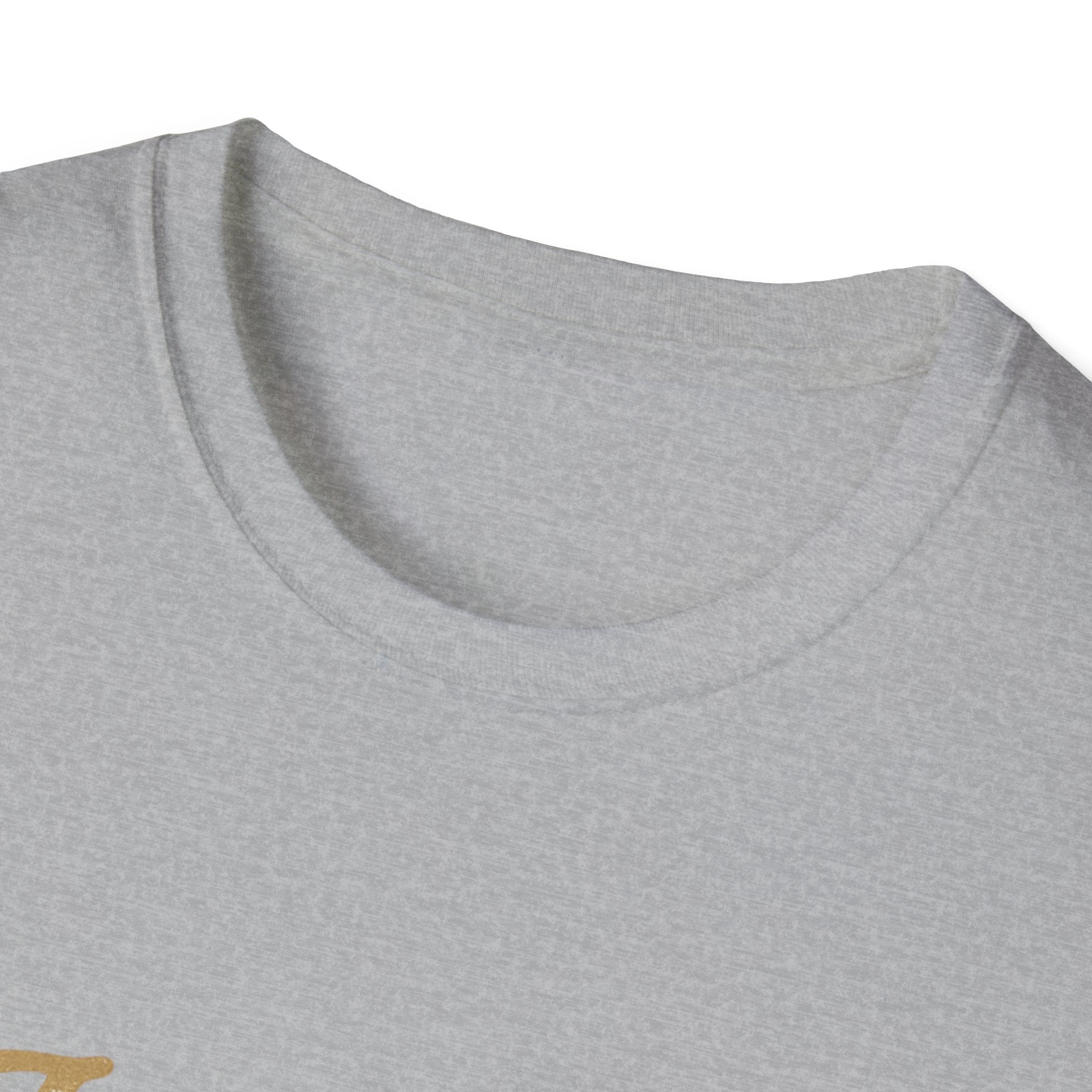 jesus junk and kids tshirt for the dumpster diving christian we all know one is it you?