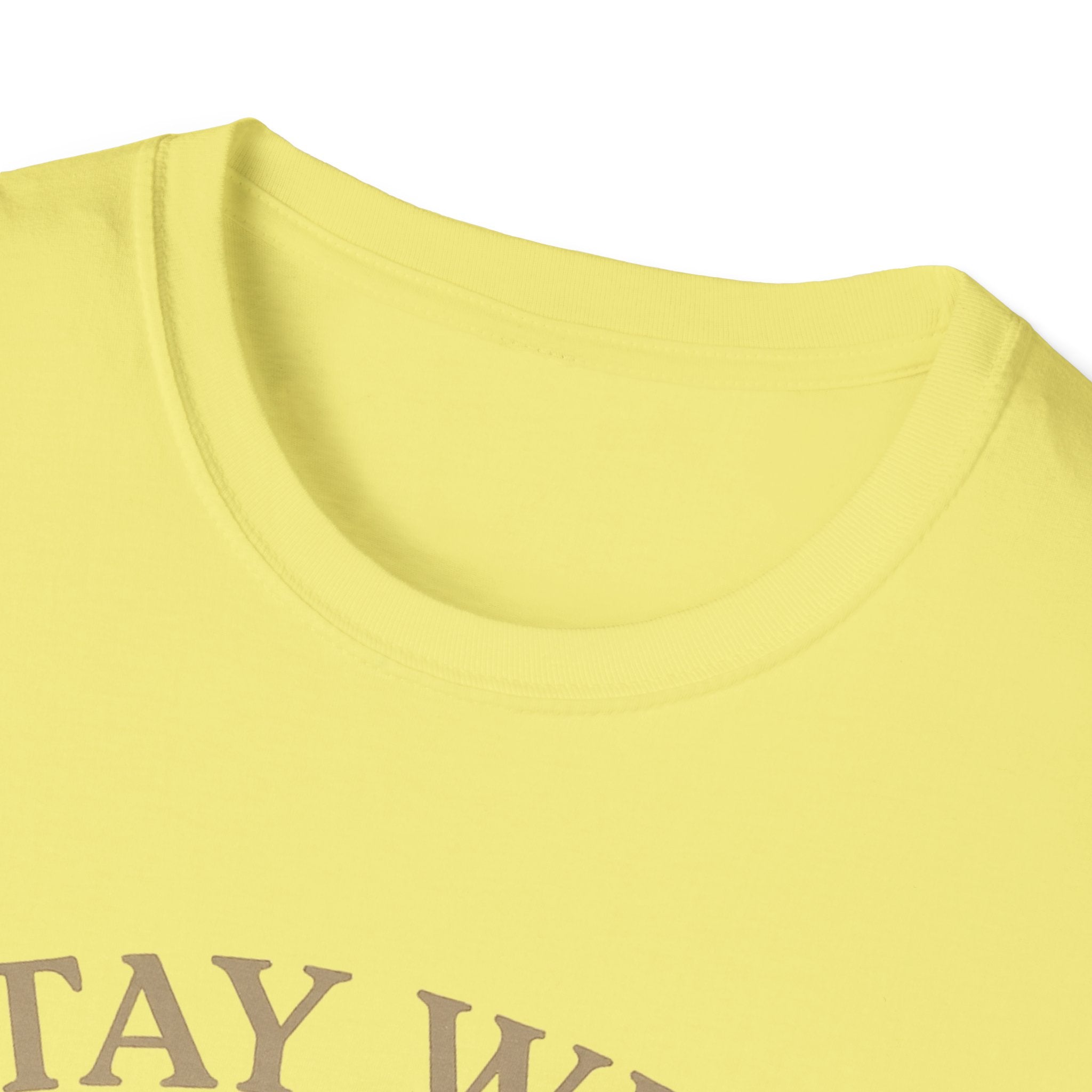 Stay Wild Moon Phase T-Shirt | Crescent Phases Graphic