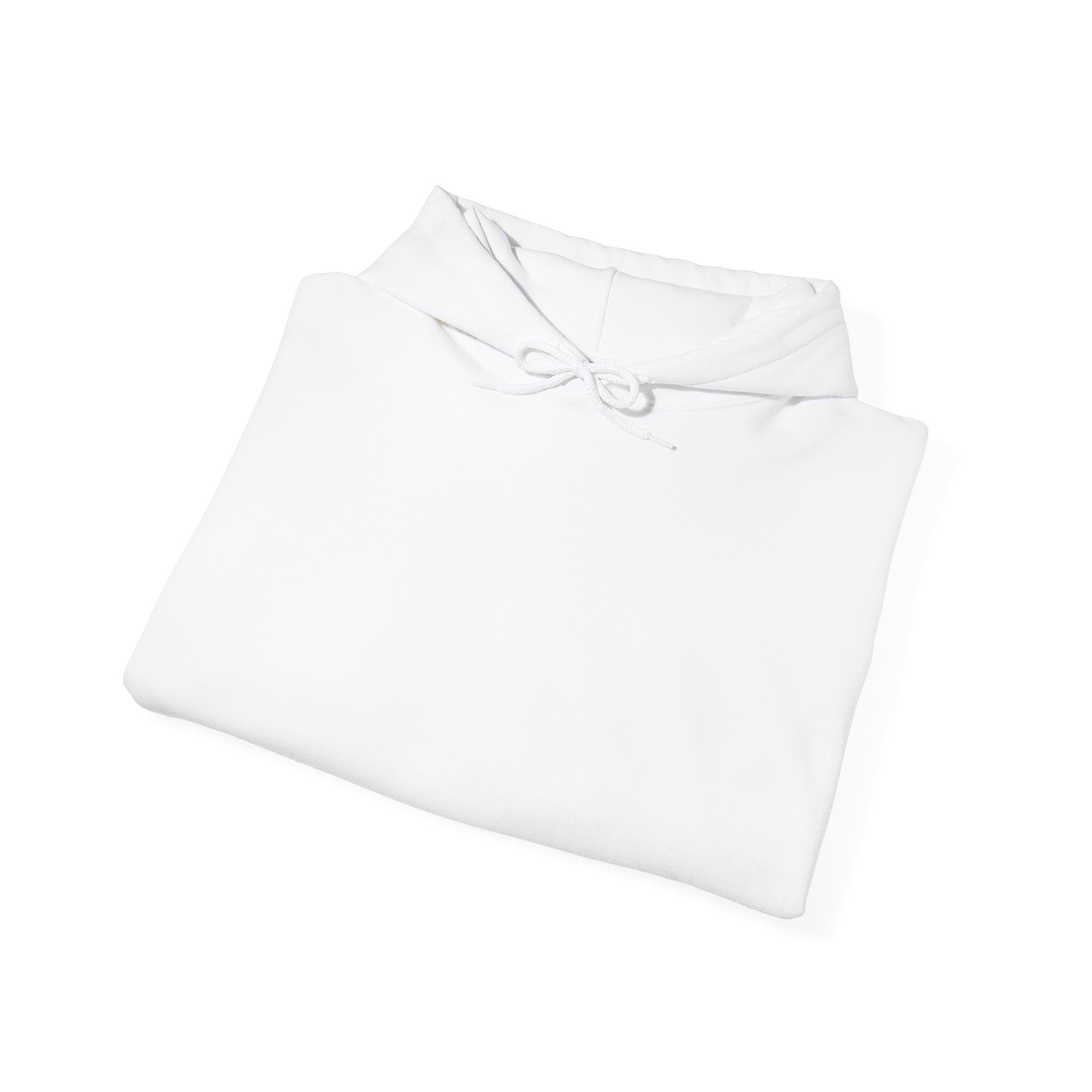 Funny Snack Dealer Hoodie, Sarcastic Foodie Gift, Junk Food Lover Hooded Sweatshirt, Gift for Snack Lover, Comfy Snacking Apparel