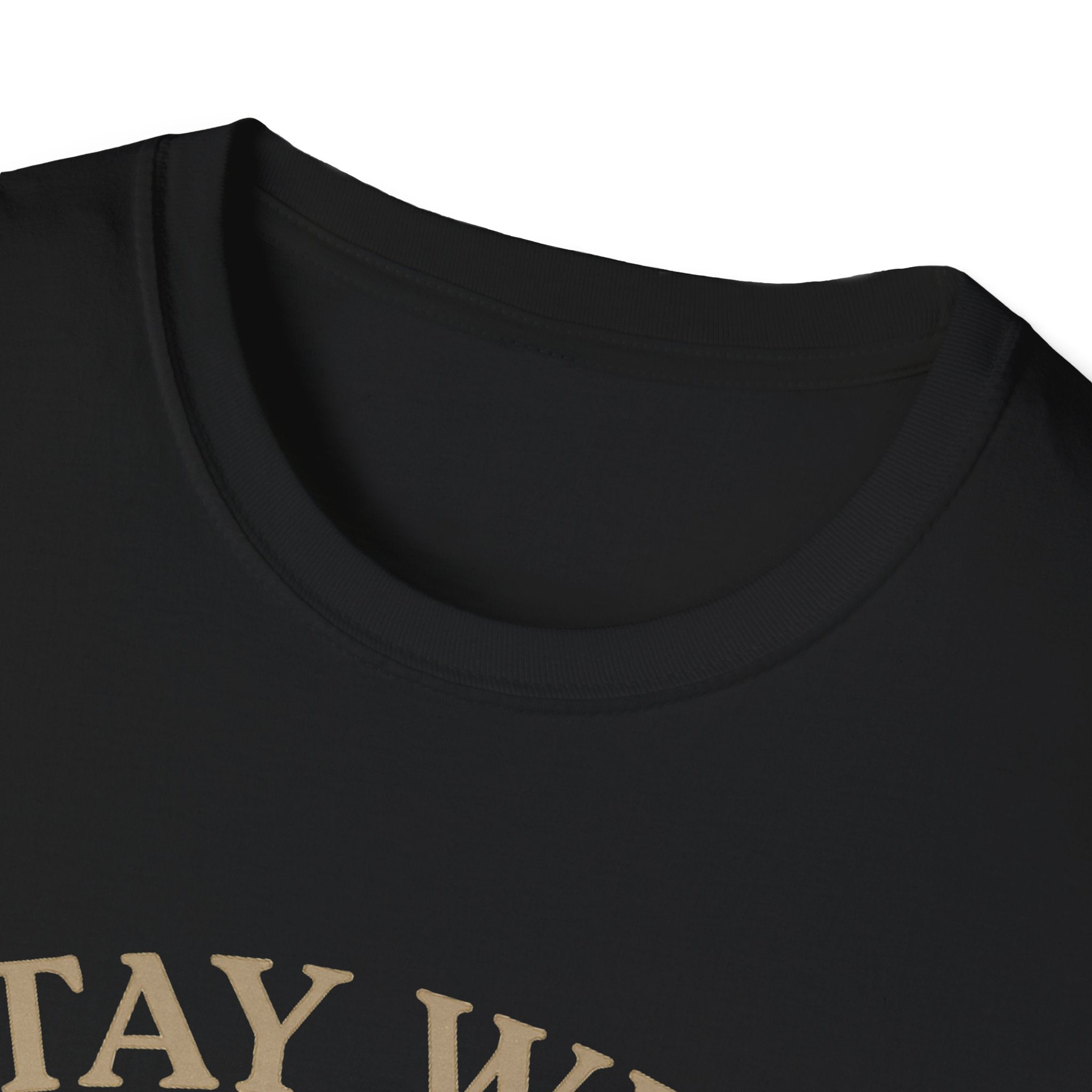 Stay Wild Moon Phase T-Shirt | Crescent Phases Graphic