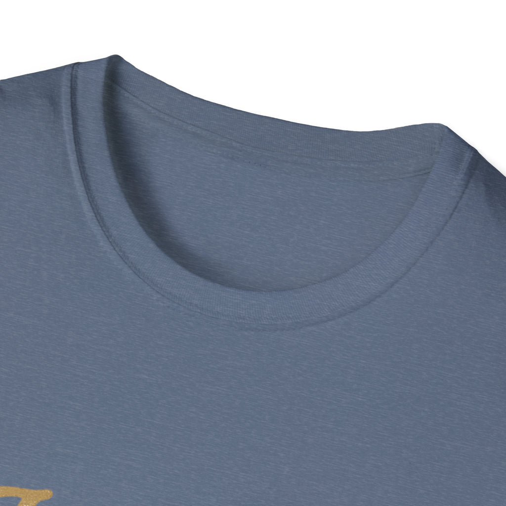 jesus junk and kids tshirt for the dumpster diving christian we all know one is it you?